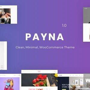 Payna - Clean, Minimal WooCommerce Theme