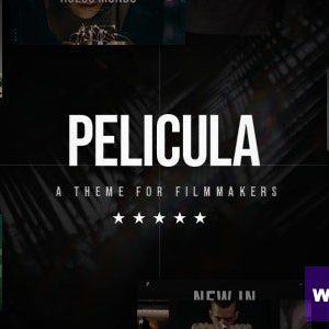 Pelicula - Video Production and Movie Theme