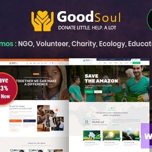 GoodSoul - Charity & Fundraising WordPress Theme