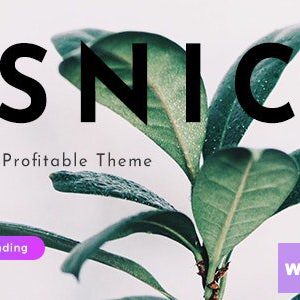Osnic - Adsense WordPress Theme