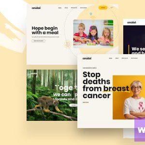 Caridad - Charity WordPress