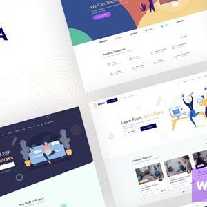 Skola - LMS Online Courses WordPress Theme