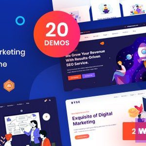 Ryse - SEO & Digital Marketing Theme
