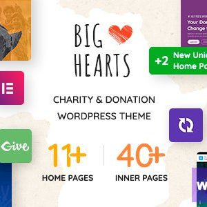 BigHearts - Charity & Donation WordPress Theme