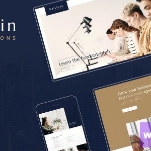 Halstein - Business Consulting