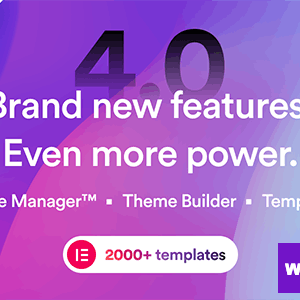 Brisk - Multi-Purpose Elementor WordPress Theme
