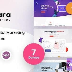 Timisoara - Digital Marketing WordPress Theme + RTL