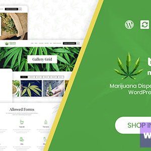 Tijuana - Marijuana Dispensary & Medical WordPress Theme