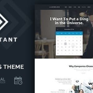 Consultant - WordPress Theme