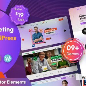 Choicy - Digital Marketing Agency WordPress Theme