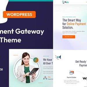 Repay - Payment Gateway WordPress Theme