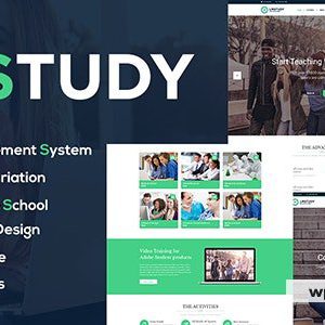 LMStudy - Education LMS WooCommerce Theme