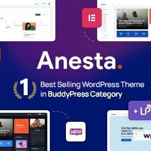 Anesta - Intranet, Extranet, Community and BuddyPress WordPress Theme