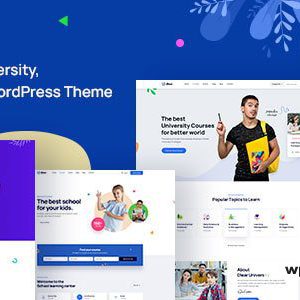 Dlear - Education, University & School WordPress Theme