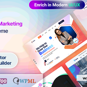 Seon - SEO WordPress