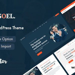 Consoel - Consulting Business WordPress Theme