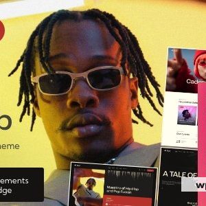 Dub - Music WordPress Theme