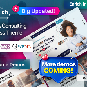 Berich - Consulting Corporate WordPress Theme