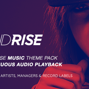 SoundRise - Artists, Producers and Record Labels Theme