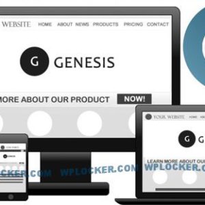 Genesis Framework