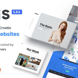 Cesis - Responsive Multi-Purpose WordPress Theme