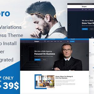 Xzopro - Finance And Business Consulting WordPress Theme