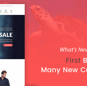 OceanWP + Core Extensions Bundle