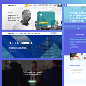 Capital - Multi Purpose Business WordPress Theme