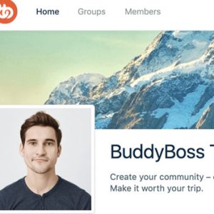 BuddyBoss Theme