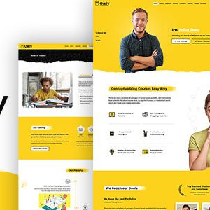 Owly - Tutor, Training WordPress, elearning Theme