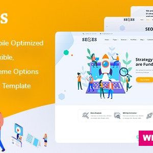 Seoes - Marketing Agency WordPress Theme